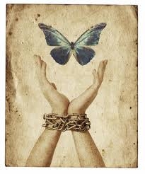 Nidicolous No More..