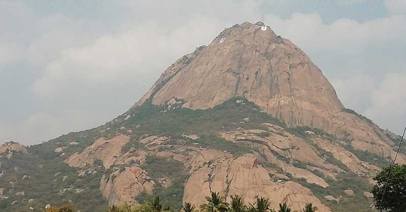 Night Trek To Doddabetta, The Big Hill Quest 