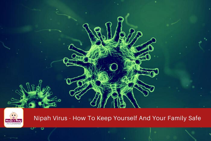 Nipah Virus - How To Keep Yourself And Your Kids Safe