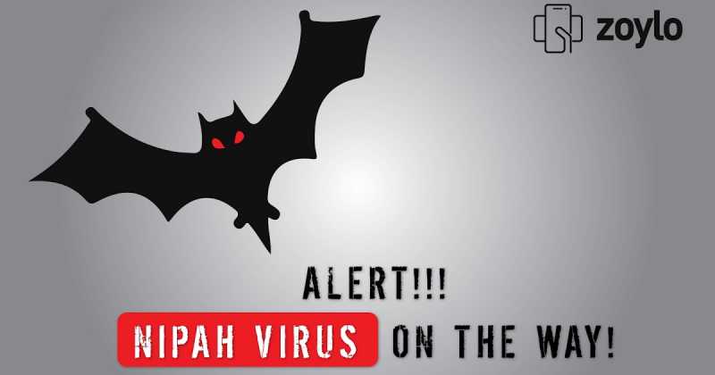 Nipah Virus - The Death Threat That Grips Kerala!