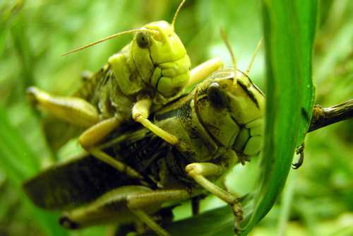 No Guilt But Enjoying Sex - Even When Talking About It Afterwards! - 27 Sep 16