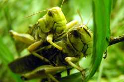 No Guilt but enjoying Sex - even when talking about it afterwards! - 27 Sep 16