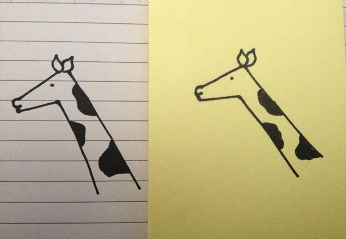 No Two Giraffes Are The Same (or A Strange Collective Noun)