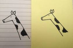 No Two Giraffes are the Same (or A Strange Collective Noun)