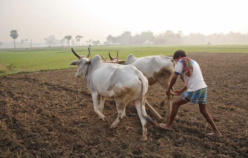 No Land For Farmer