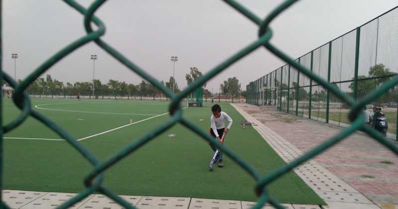 No Resting Upon Laurels: The Grit And Resilience That Goes Into Making Haryana’s Medal Winners