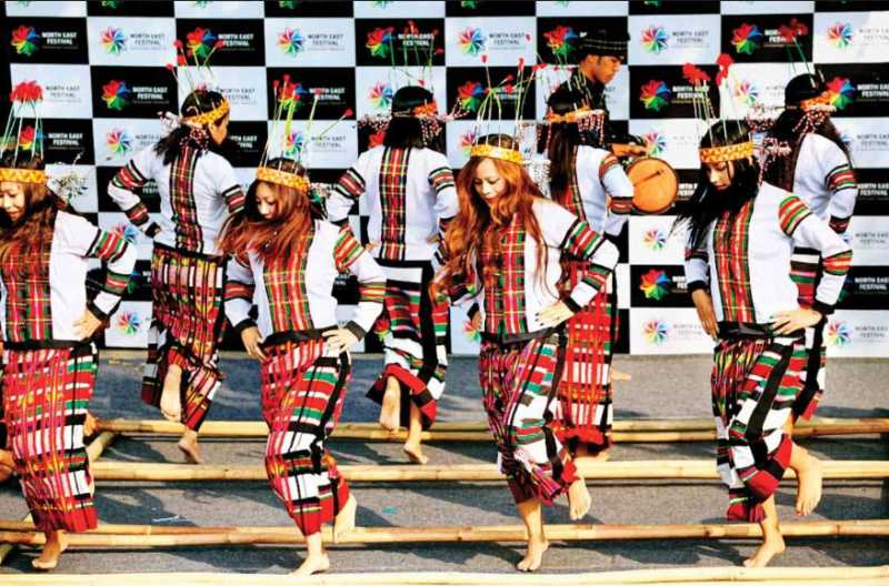 North-East Festival To Host Special Seminar On NRC - DU Times