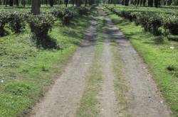 North of Northeast Part XIII