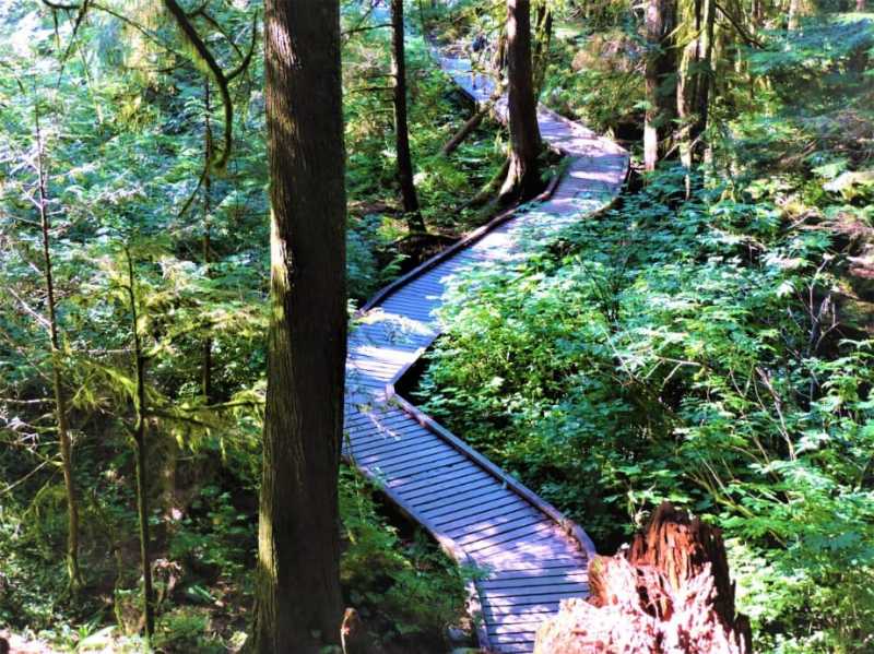 Norvan Falls Hike, Lynn Valley, Vancouver - Trekkerpedia
