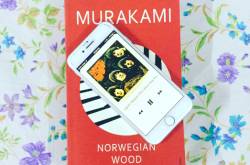 Norwegian Wood (Has the bird really flown?)