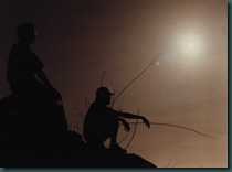 Nosalgia - Stills From Nikon FM10 Analogue