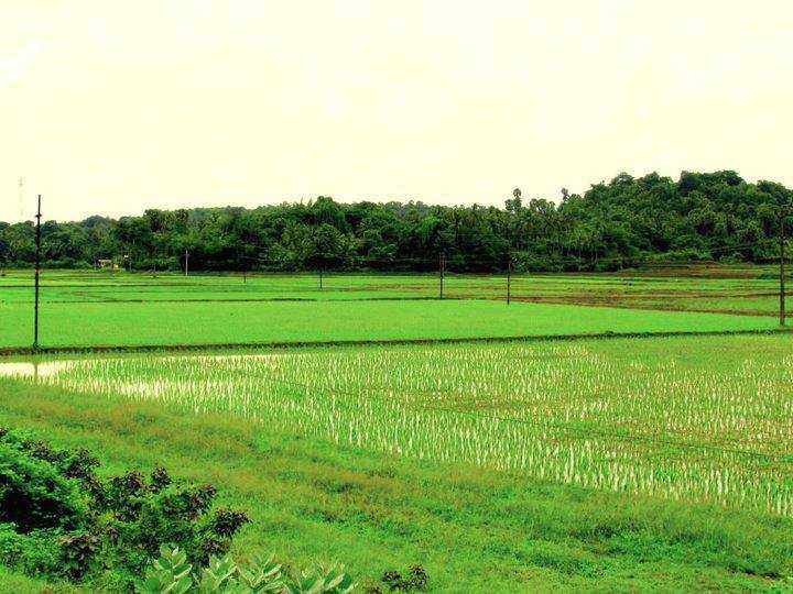 Nostalgia Evergreen…!