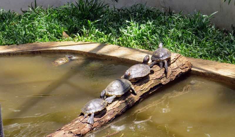 Nostalgia On Demand - Coffee With Mi