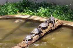 Nostalgia on demand - Coffee With Mi