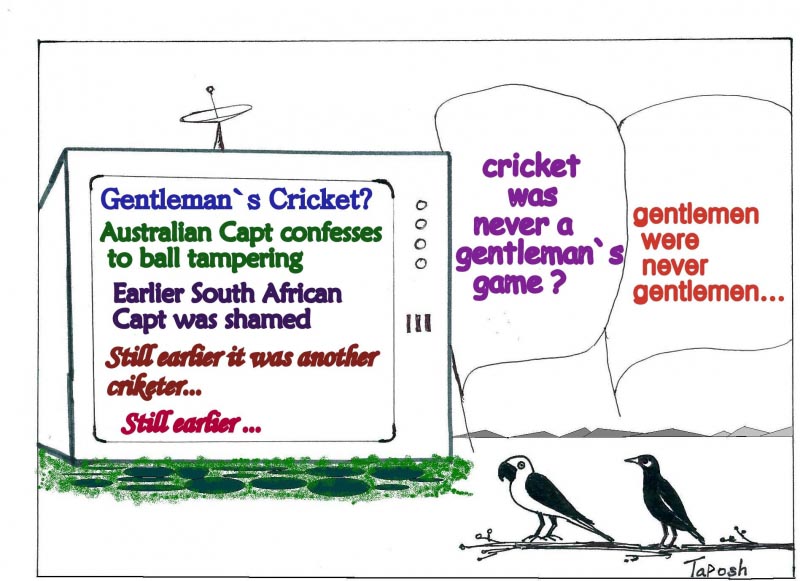 Not Cricket : Cartoon Tota-Myna