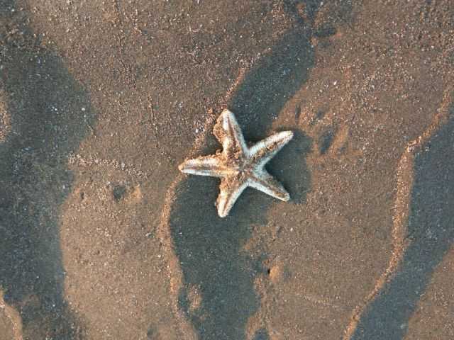 Not A Linear Journey