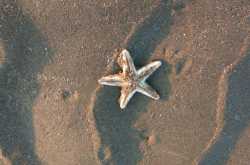 Not a linear journey