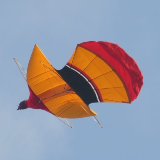 Not My Husband’s Helper