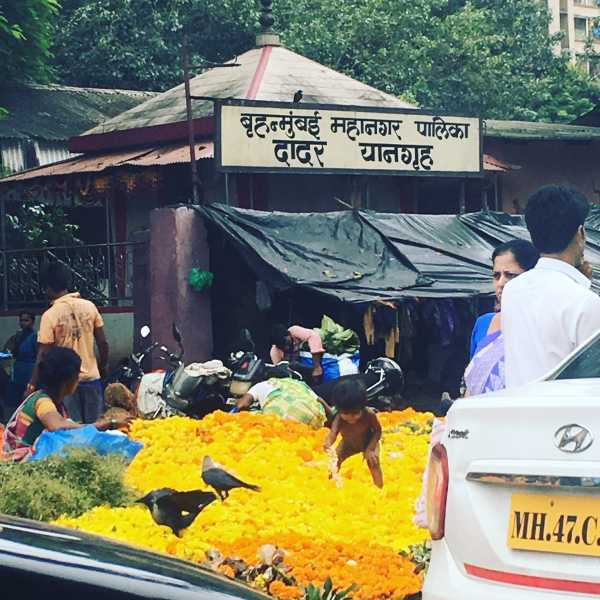 Not So Mellow Yellow! 