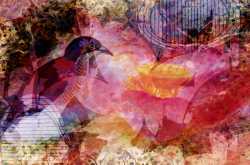 Note to Thyself : Carry an Umbrella