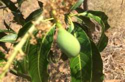 Notes from Small Town India