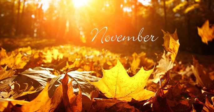 November 