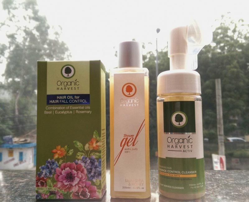 November Favorites From Organic Harvest - Colorific India