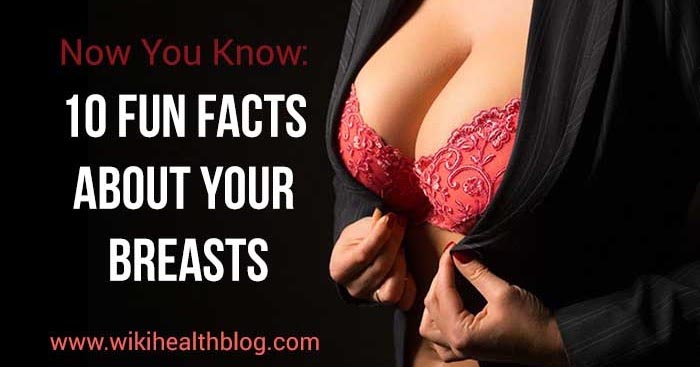 Now You Know: 10 Fun Facts About Your Breasts