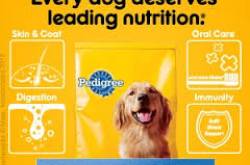 Nutrition For Dogs