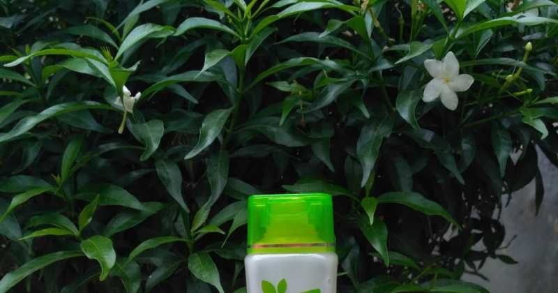 Nyle Naturals Anti-Dandruff Shampoo Review