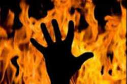 OBAT OLES “SALEP KULIT” LUKA BAKAR TRADISIONAL DAN ALAMI