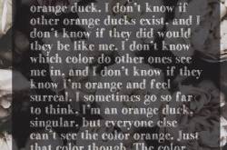 ORANGE DUCK