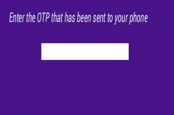 OTP Is The Backbone Of A Strong Online Security 