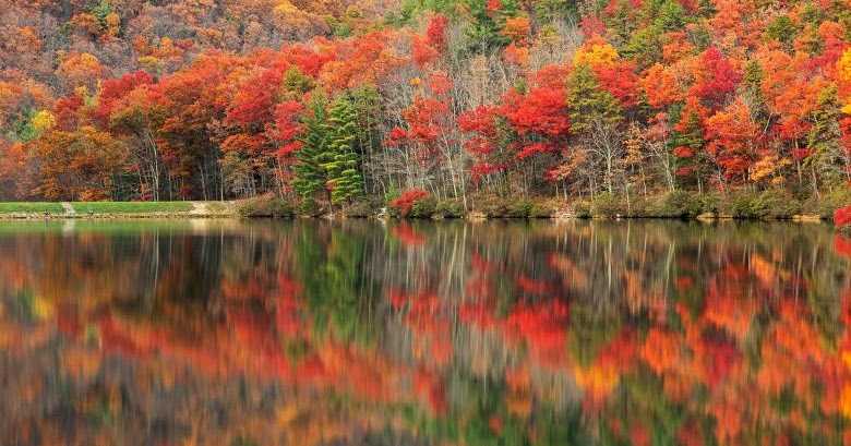 OUR EYES REFLECT OUR HEART