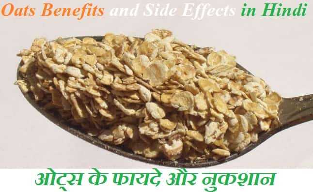 Oats In Hindi | ओट्स के फायदे और नुकशान - Ayurved
