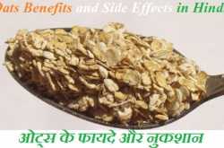 oats in hindi | ओट्स के फायदे और नुकशान - ayurved