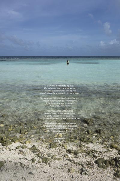 Ocean Love - Bhavpreet Ghai