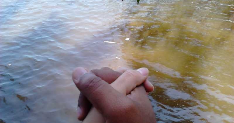 Of Charms And Chinars