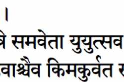 Of Faith, Salvation and Paws!