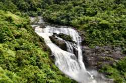 Of Intoxicating Coffees and Green Pastures in Coorg. - Swati Vijayan