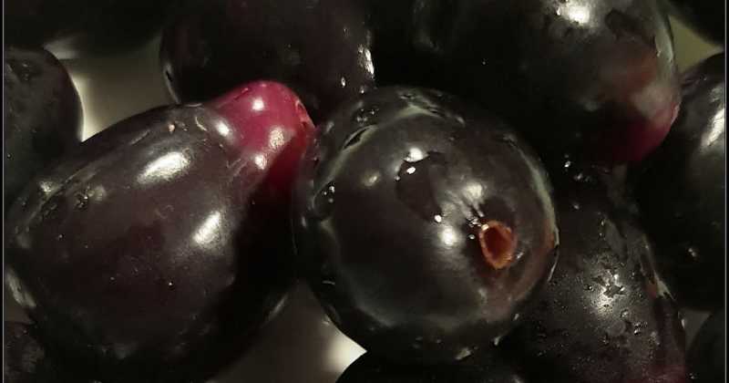 Of Jamuns..