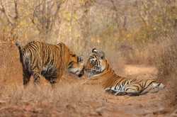 Of Photo Tours and Mentors