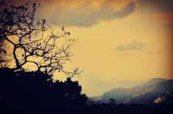 Of Quora, Ruskin Bond and Prophecies !