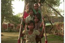 Of Sherlock, Mowgli and a Rain Tree