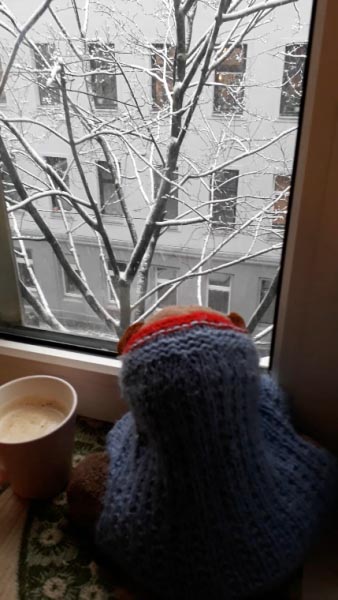 Of Snow And Doggy Wisdom