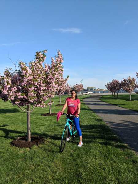 Of Summer And Poppy-seed Cake
