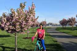 Of Summer and Poppy-seed Cake