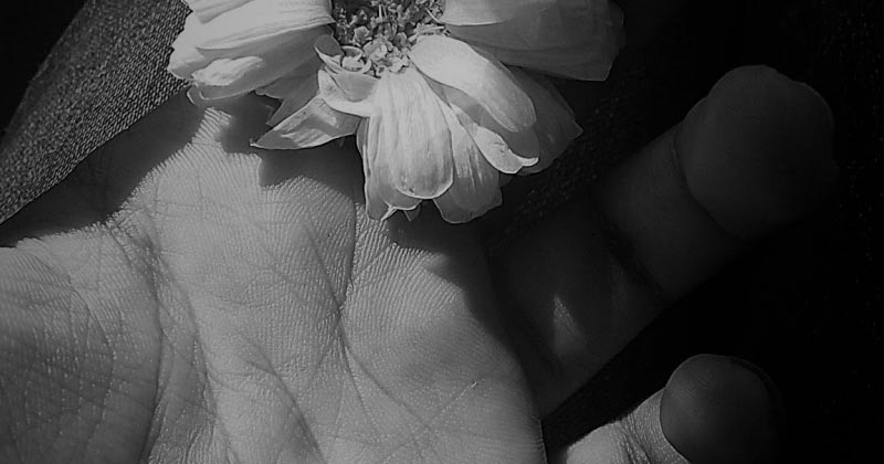 Of What Was And What Is