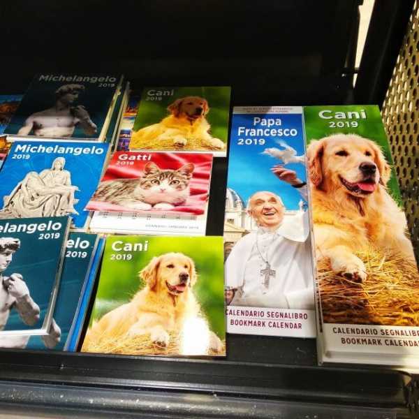 Of Dogs, Vatican City And The Pope...