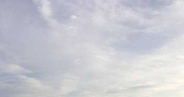 Of Milestones...and Of Letting Go.....